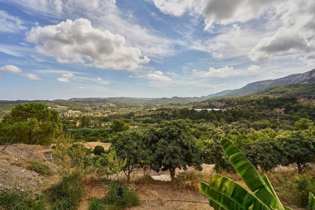 Valley View Salakos