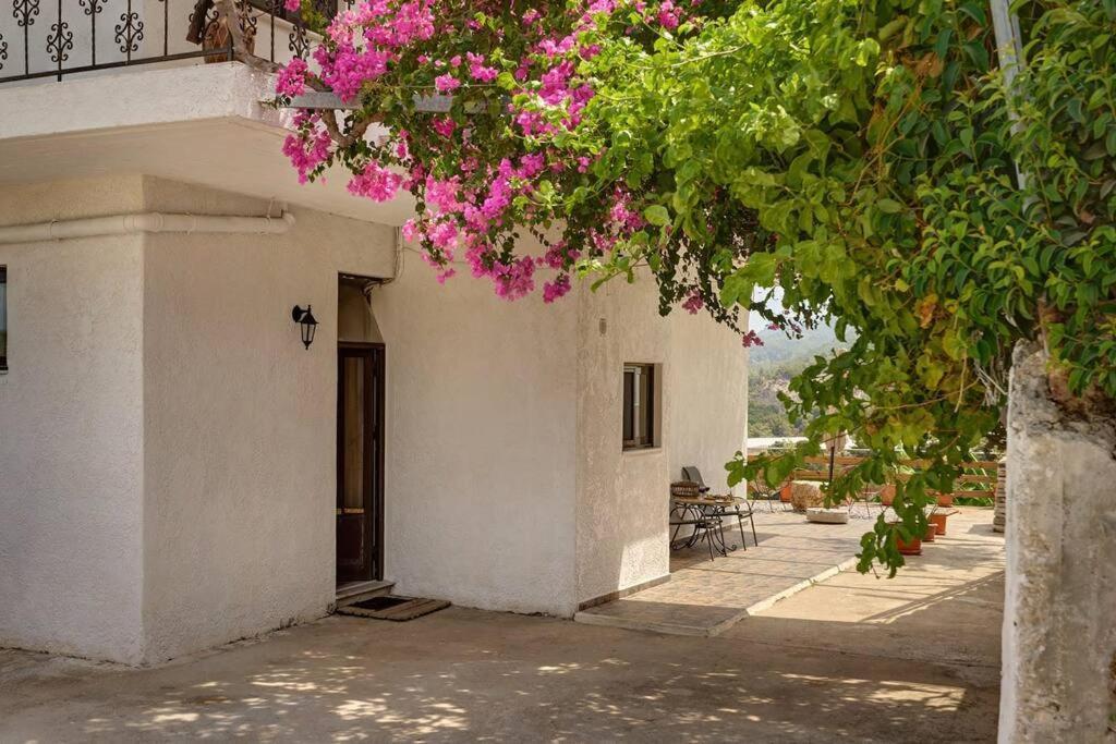 Valley View Apartment
