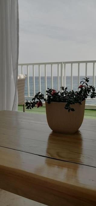 Mariannas Tiny Paradise Apartment Kamari (Corinthia)