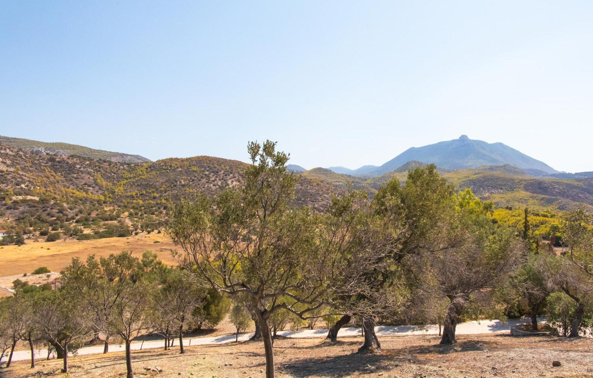 Lahtagas Estate With Private Swimming Pool Villa *