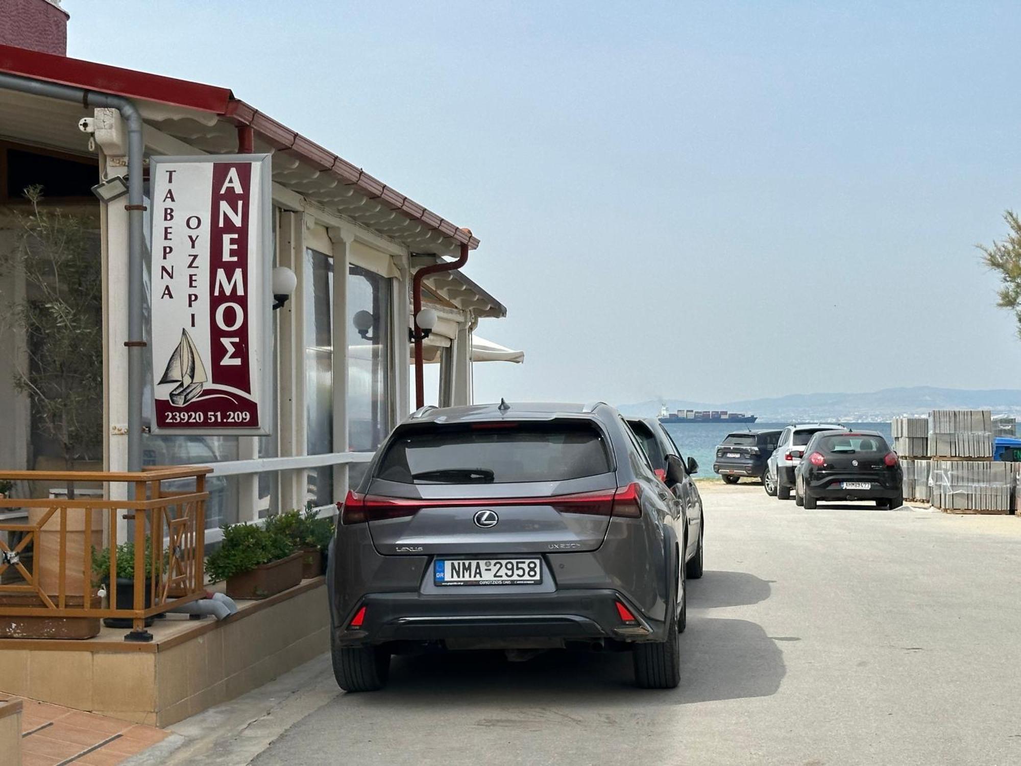 Hotel Anemos *