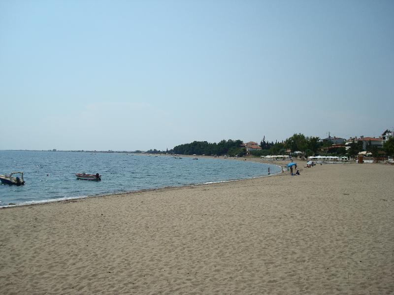 Kalives