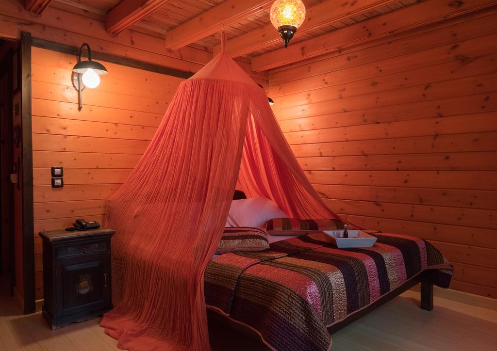 Colours' Chalet Guest house Synikia Mesi Trikalon
