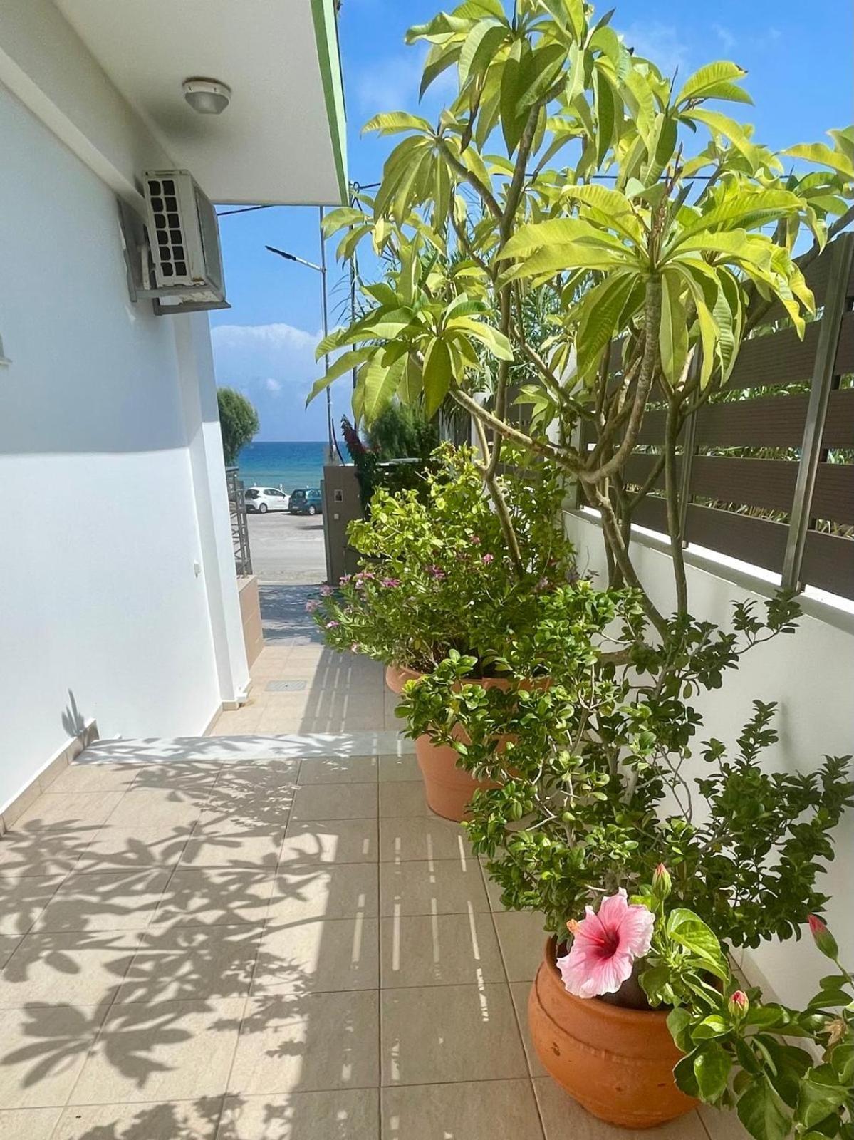 Red Hibiscus Stegna Country house