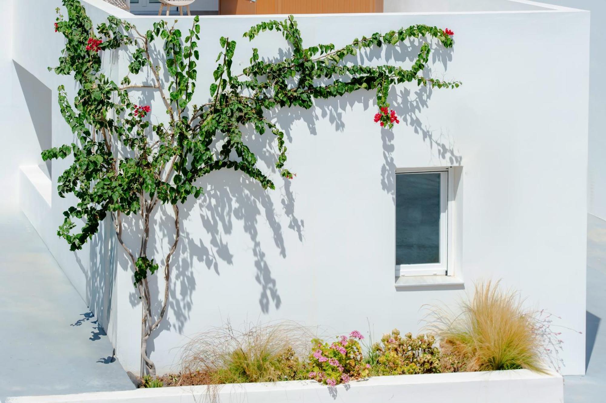 Apartment Eutixia House *