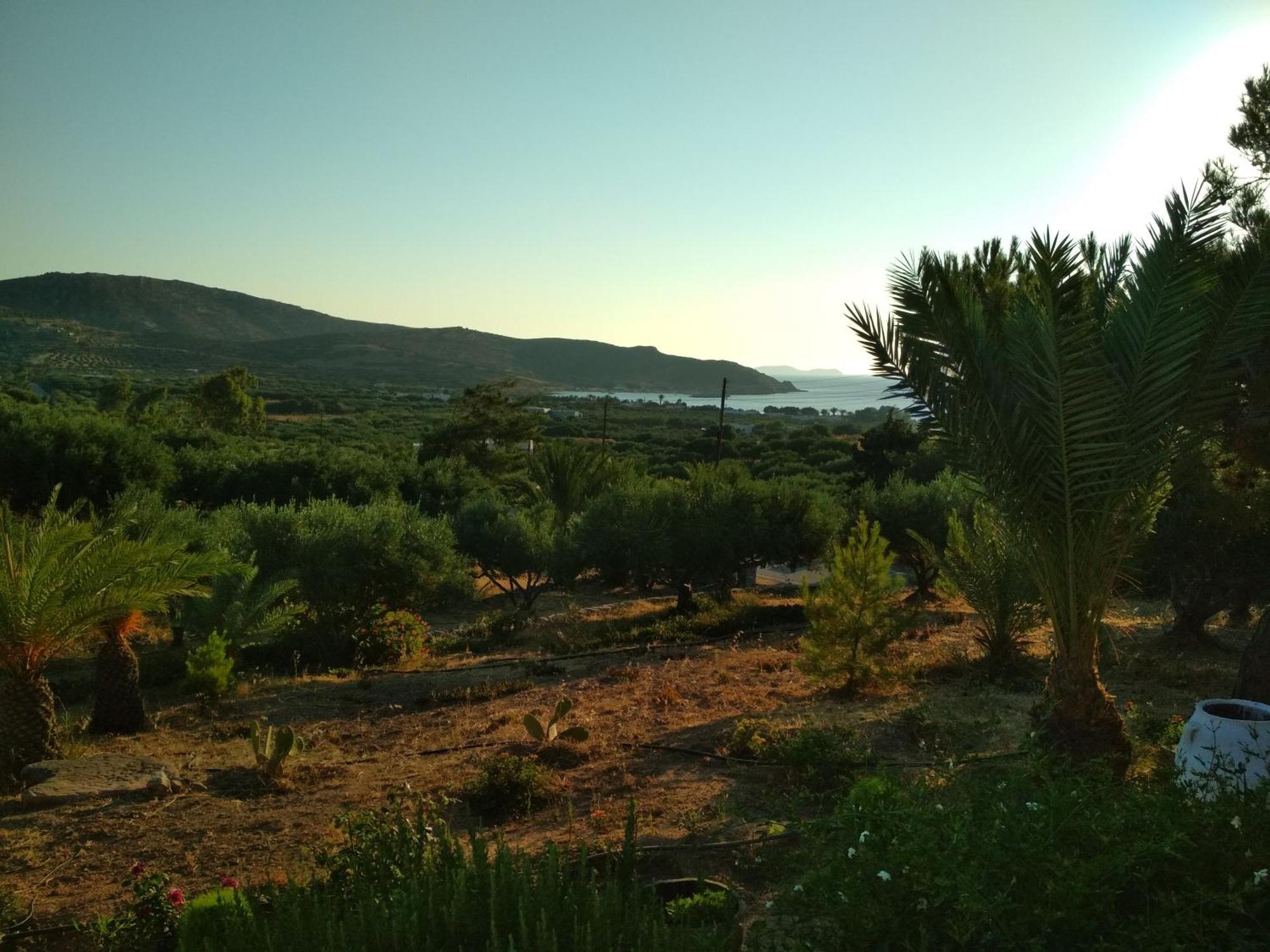 Porto Heli * Palekastro