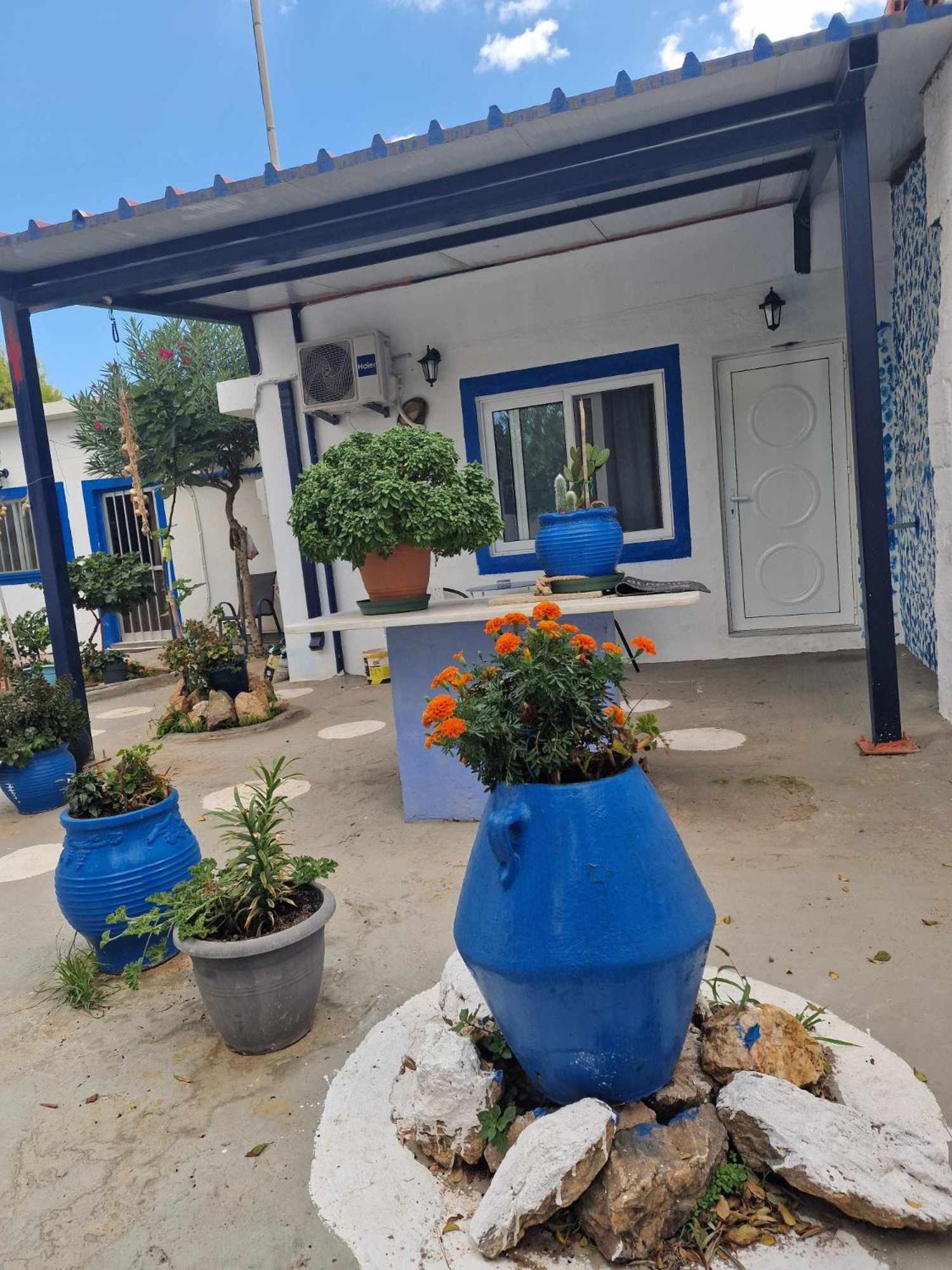 4 Seasons Suites Paradise Near Athens Airport Apartment Markopoulo Mesogaias