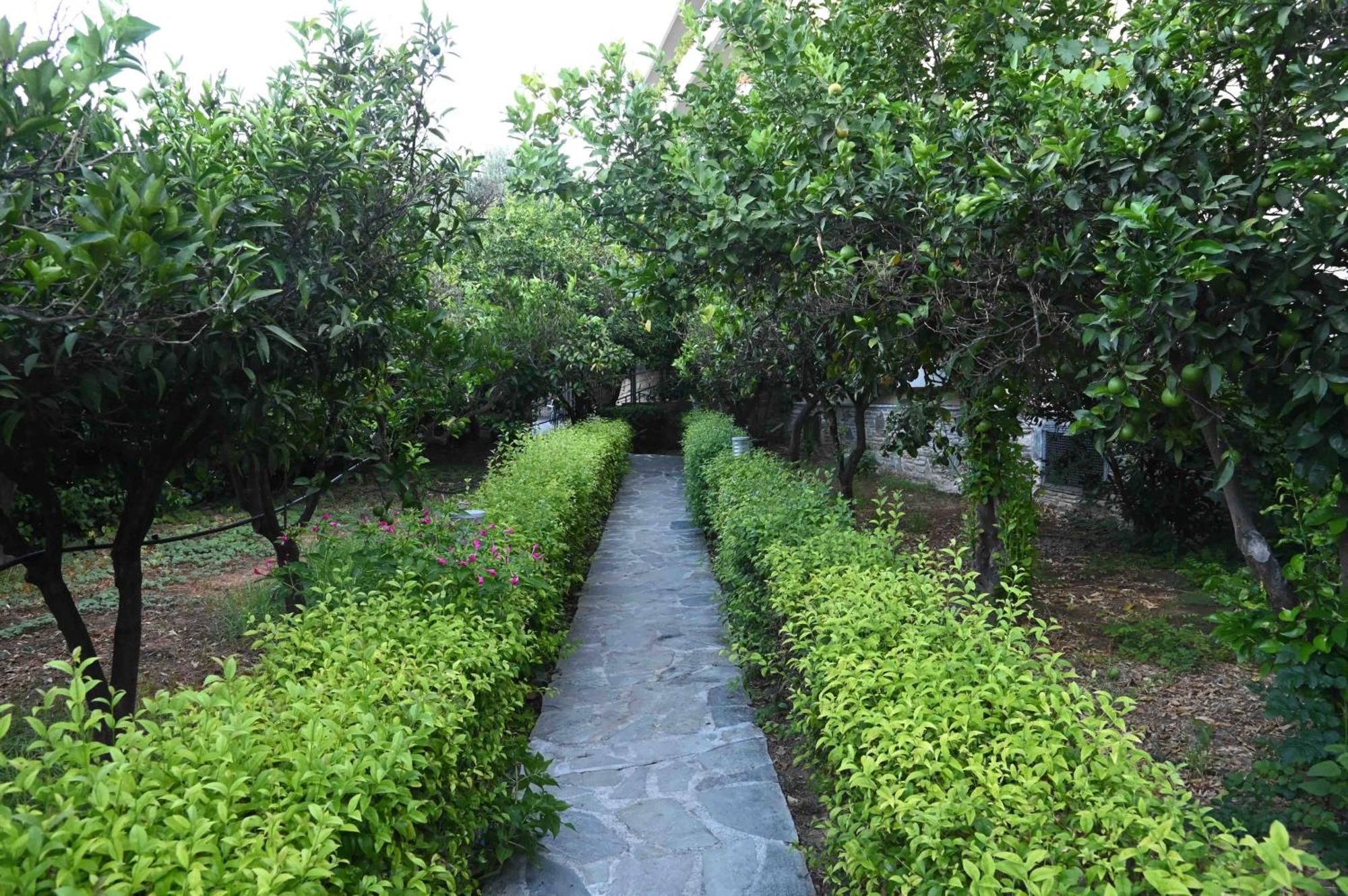 Miramare Hotel Eretria (Evia)