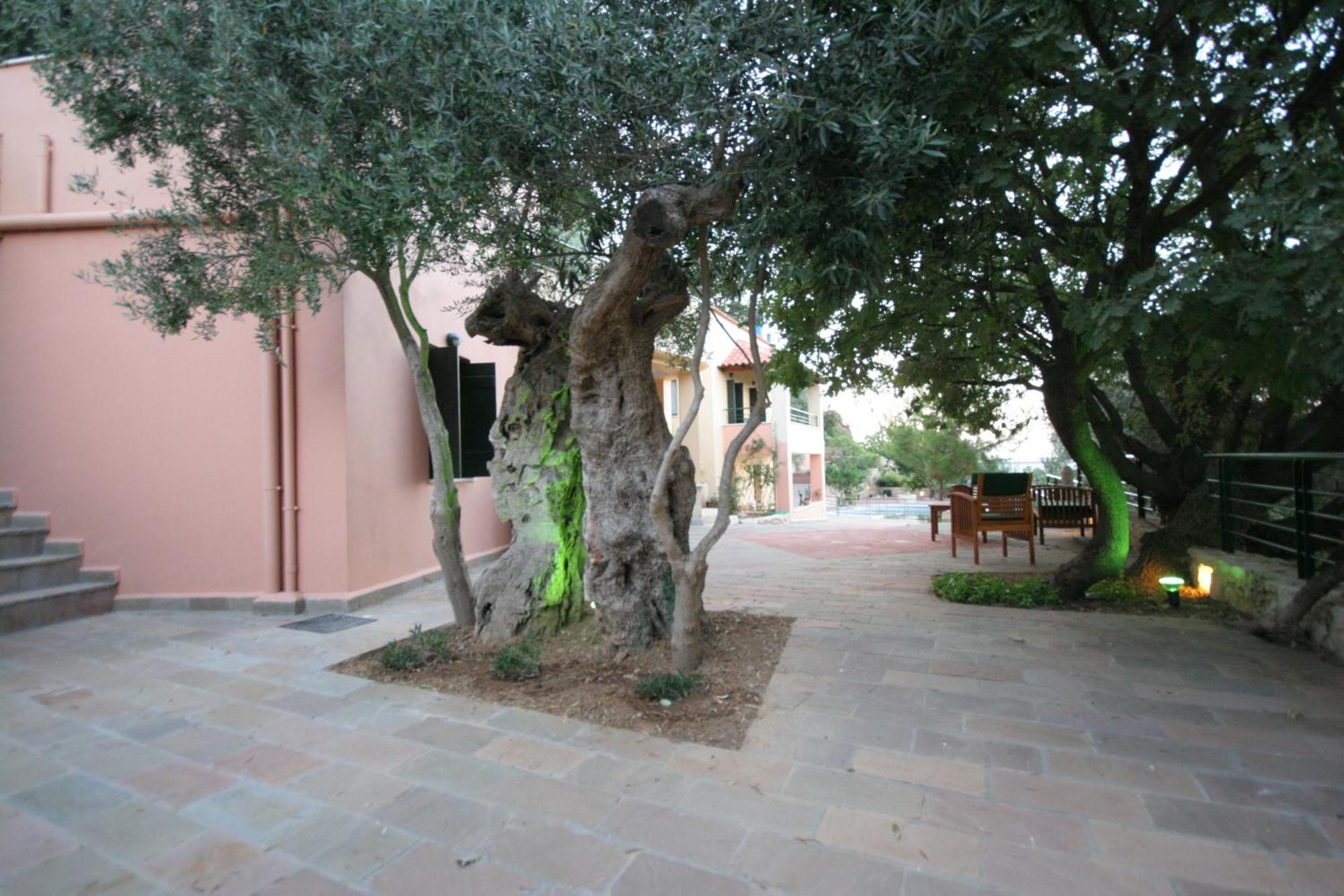 Traditional Apartment *