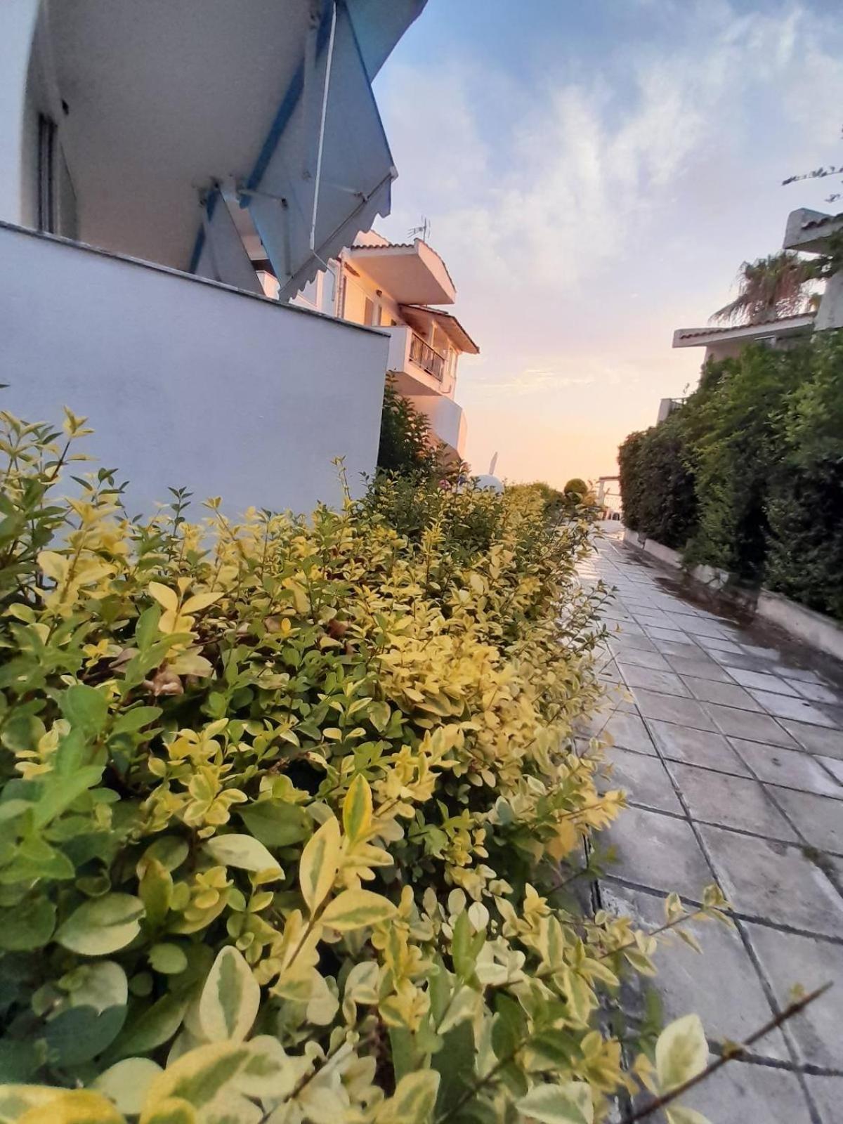 Iris Seafront *