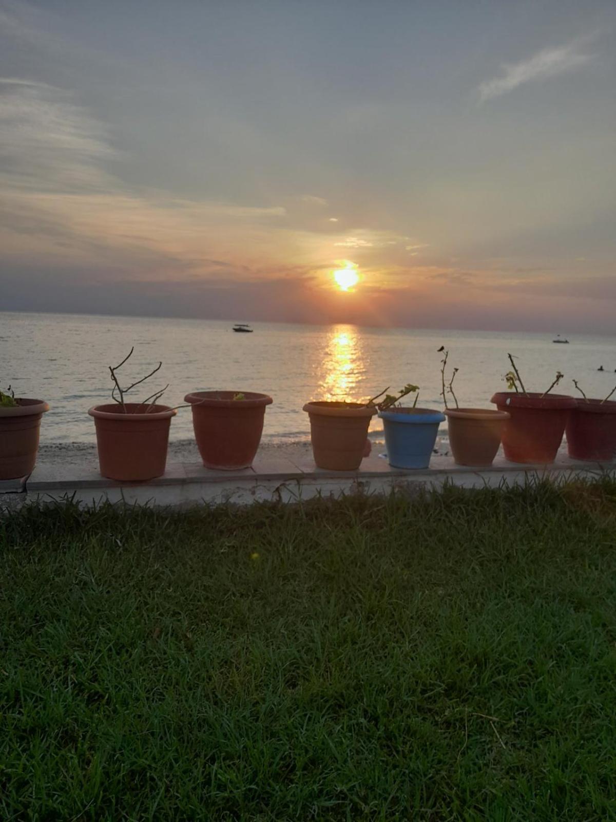 Apartment Iris Seafront
