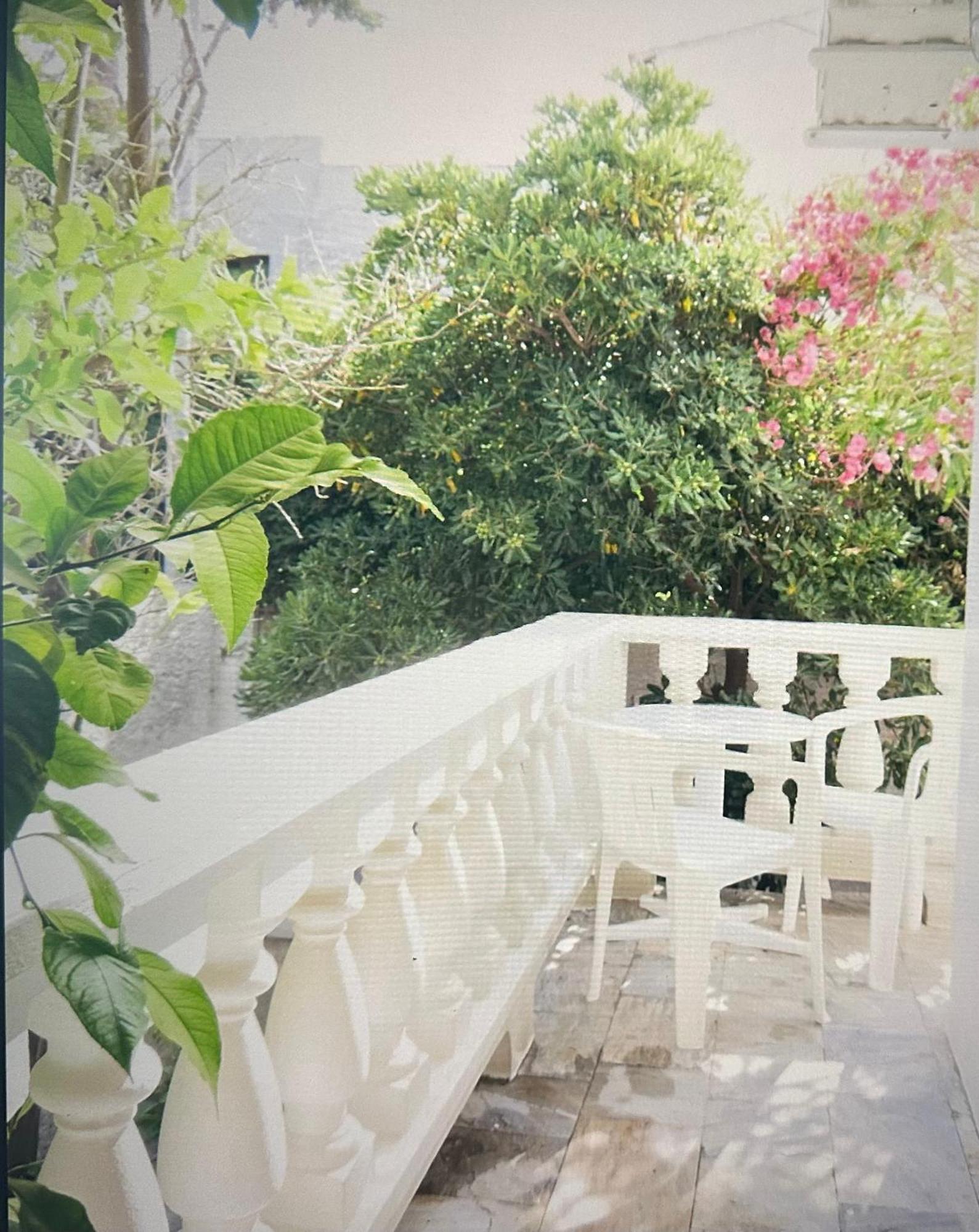 Apostolis Studios Skopelos Town