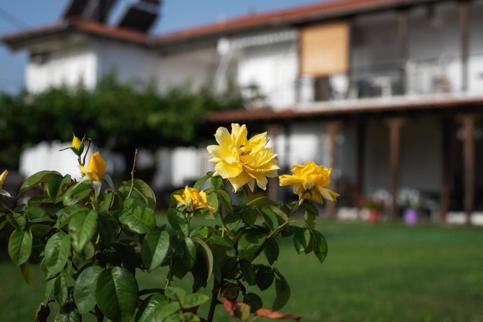 Marilena Anastasiou Apartment