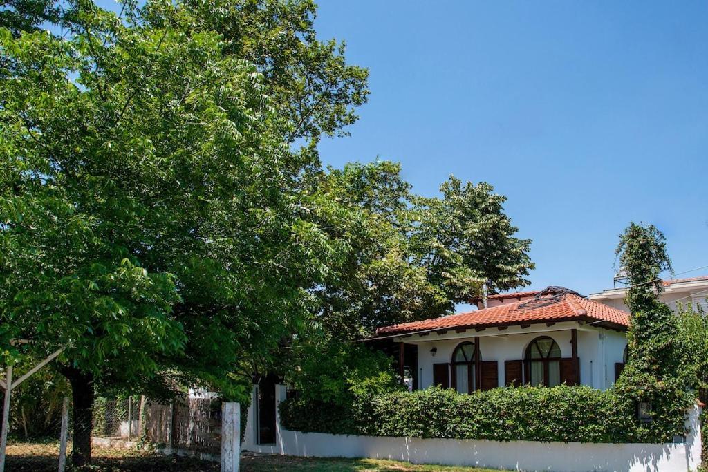 Shada's Pool & Jacuzzi Villa