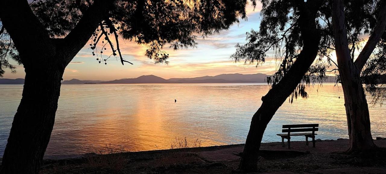 Yard Of Epicurus - η αυλή του επίκουρου Holiday home Kato Gatzea