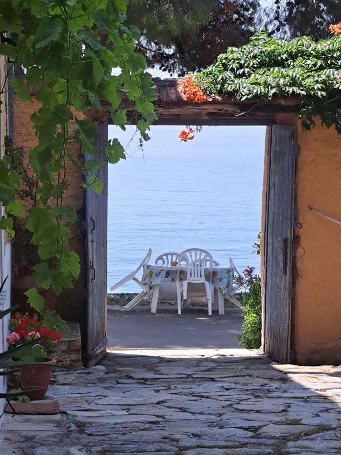 Holiday home Yard Of Epicurus - η αυλή του επίκουρου