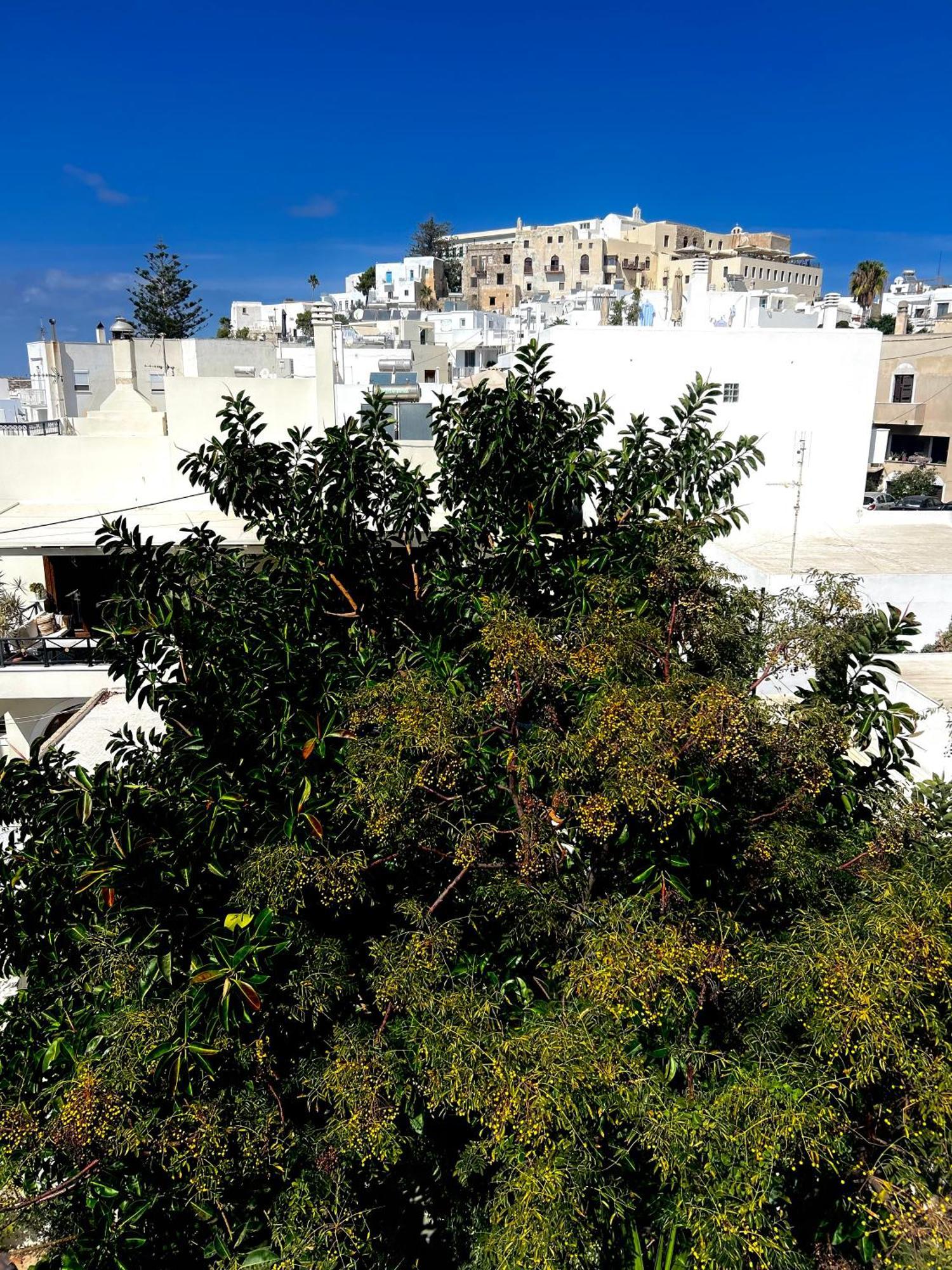 Bellissimo Naxos * Naxos City