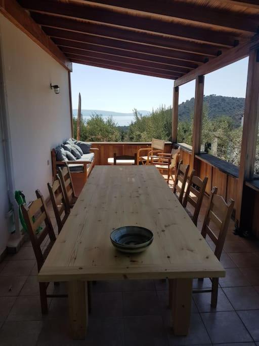Olive Grove Serenity *