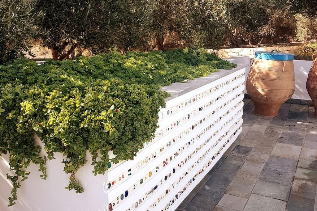 Villa Olive Grove Serenity