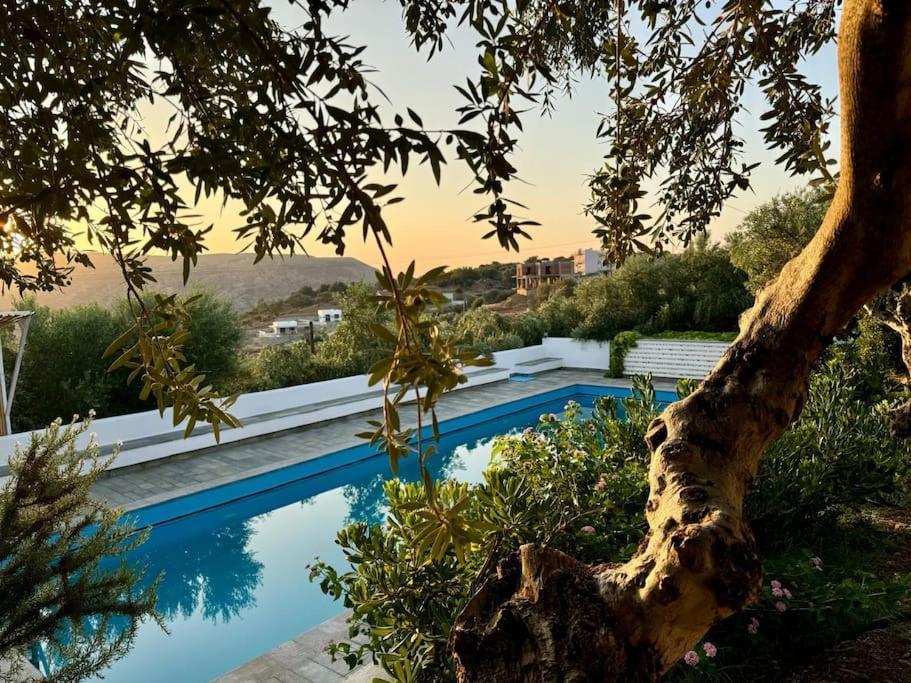 Olive Grove Serenity Villa *
