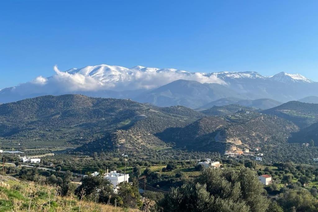 Villa Olive Grove Serenity