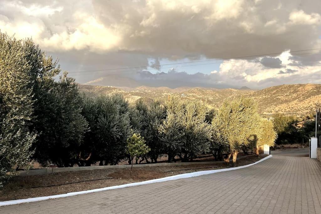 Olive Grove Serenity Agia Galini (Crete)