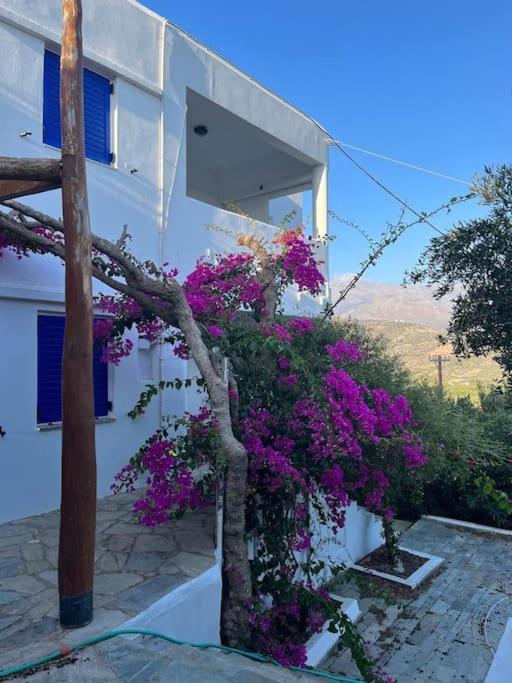 Olive Grove Serenity * Agia Galini (Crete)
