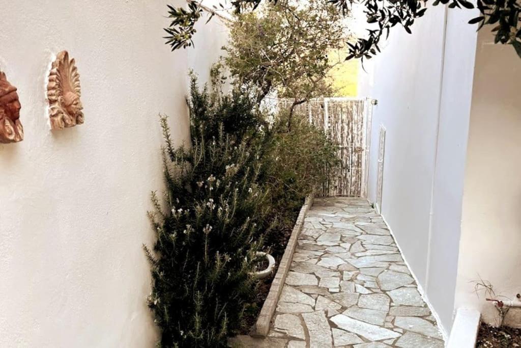 Olive Grove Serenity