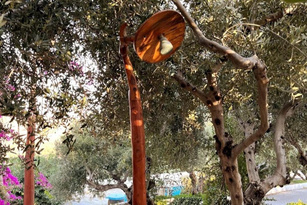 Olive Grove Serenity Agia Galini (Crete)