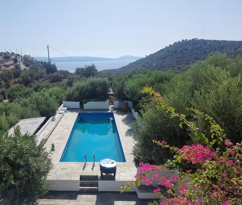 Olive Grove Serenity Villa Agia Galini (Crete)