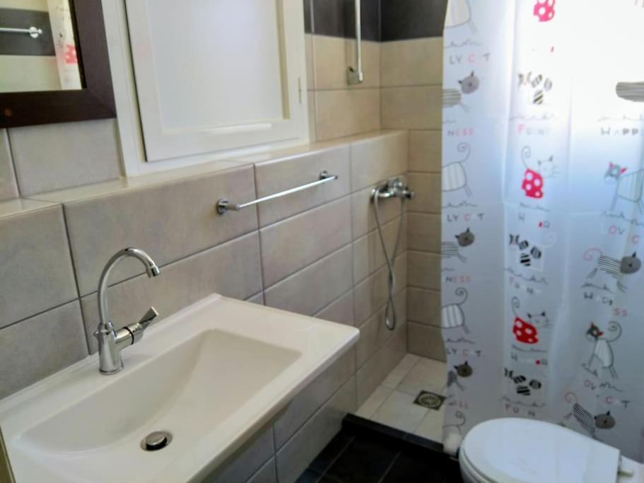 Loft Apartment Argostoli (Kefalonia)