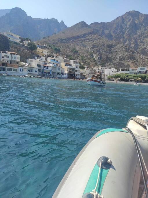 Coastline Of Paradise 3 * Paranimfoi