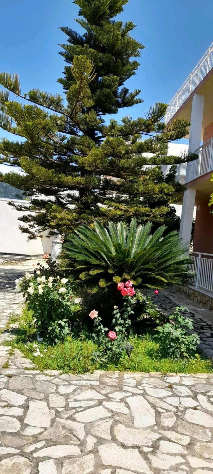 Apartment Angelos Aparts11 *