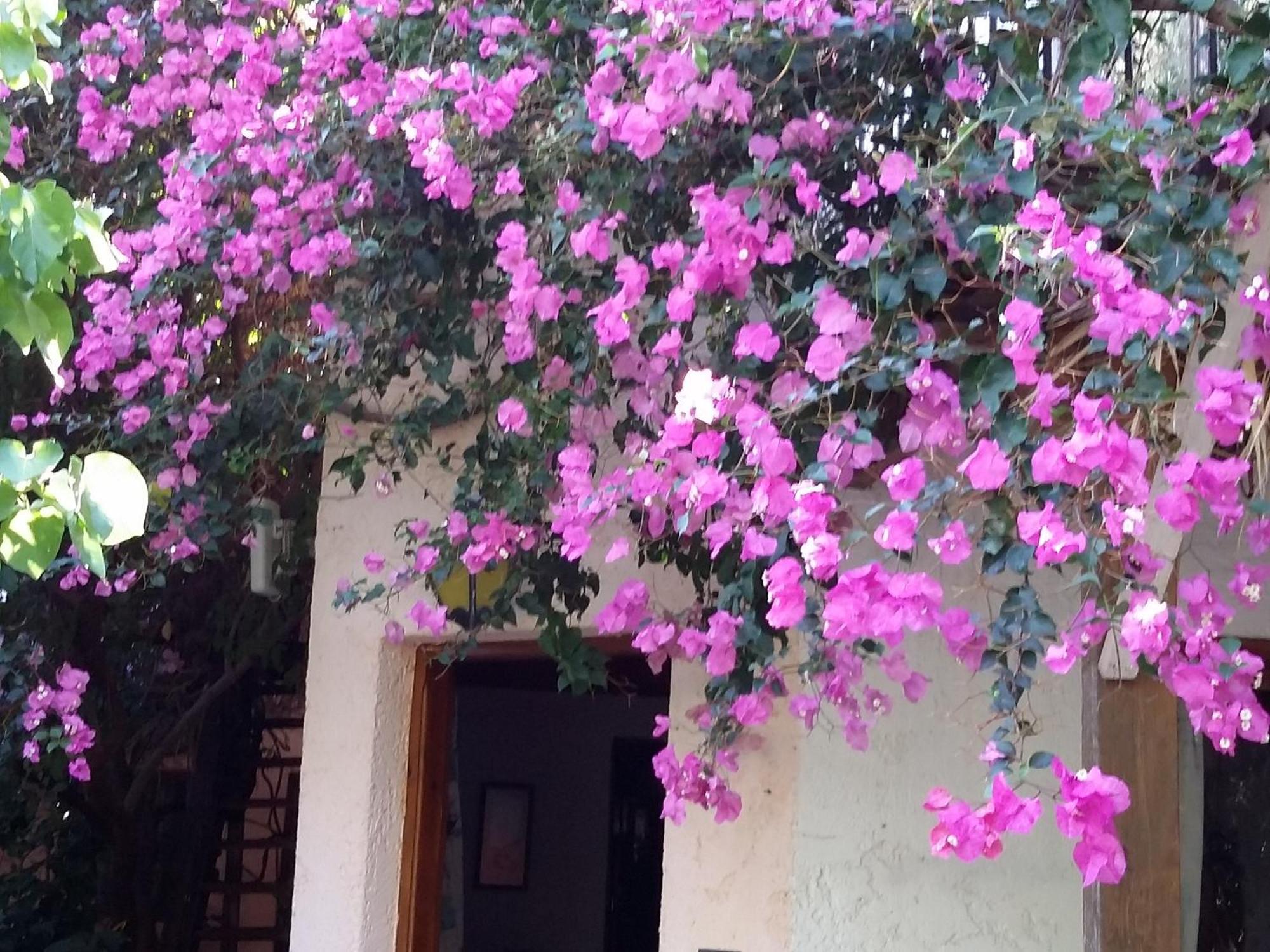 Holiday home Stunning 2-bedrooms Private In