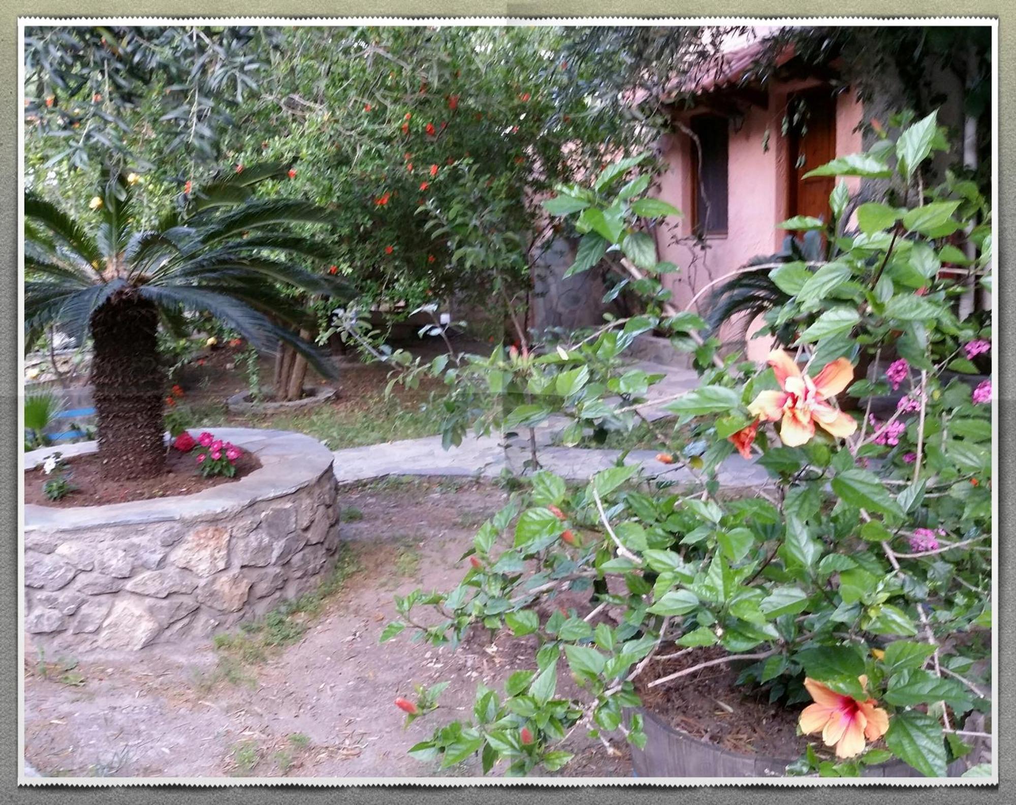 Stunning 2-bedrooms Private In Palaiochora