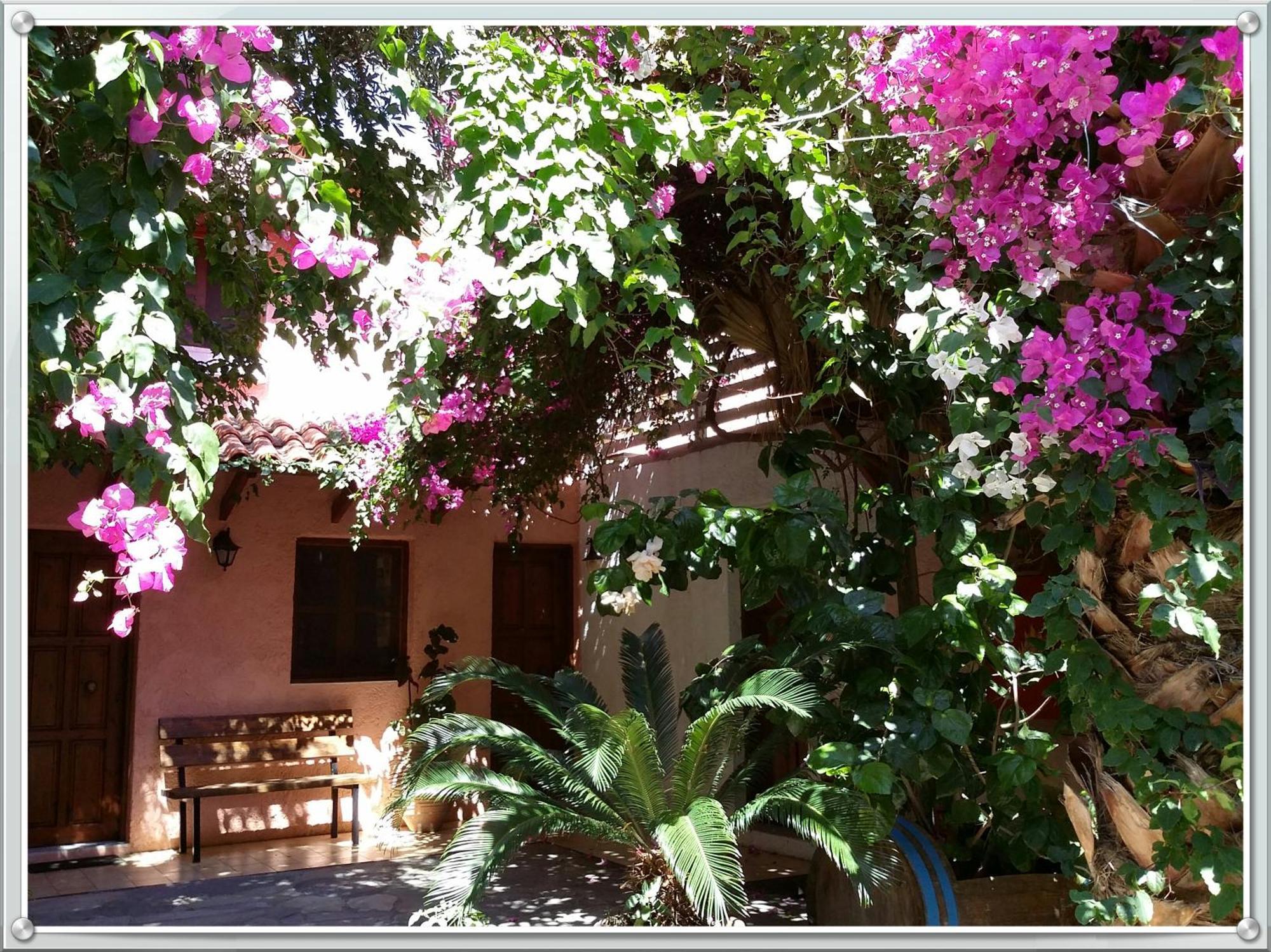 Stunning 2-bedrooms Private In Palaiochora