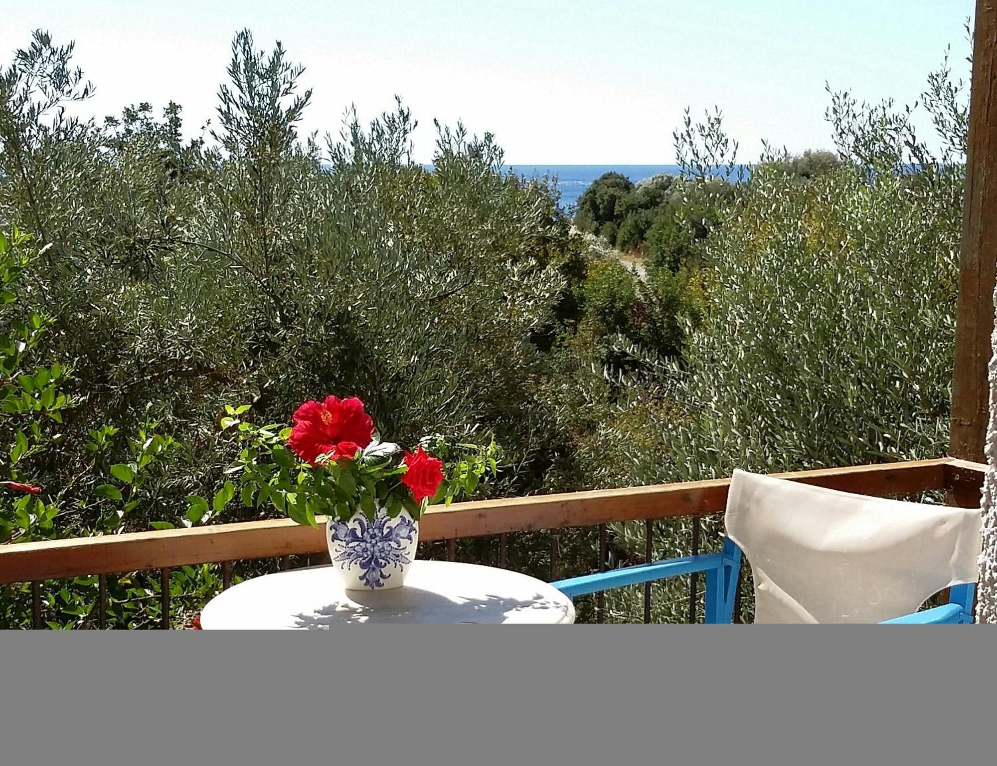 Stunning 2-bedrooms Private In Palaiochora