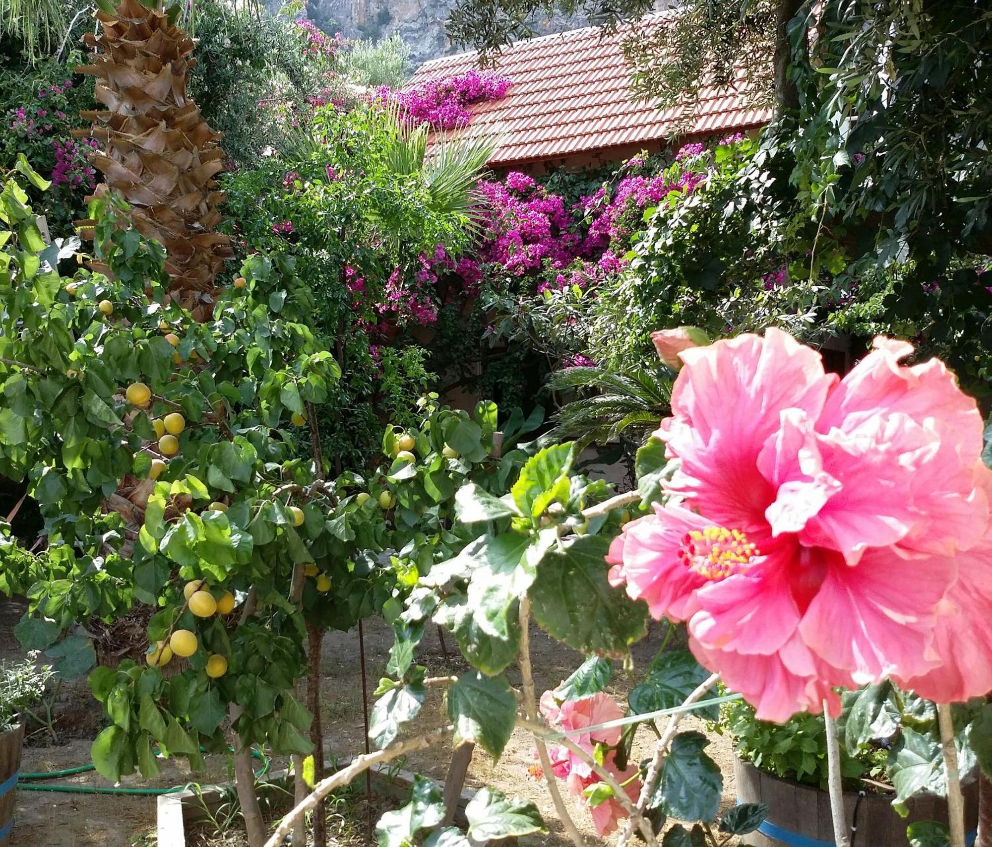 Stunning 2-bedrooms Private In * Palaiochora