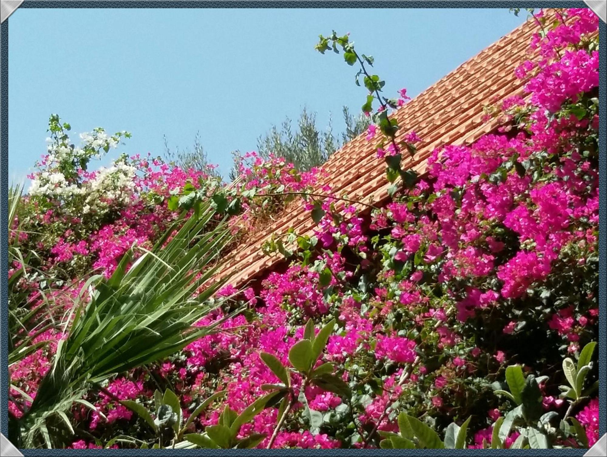 Holiday home Stunning 2-bedrooms Private In *