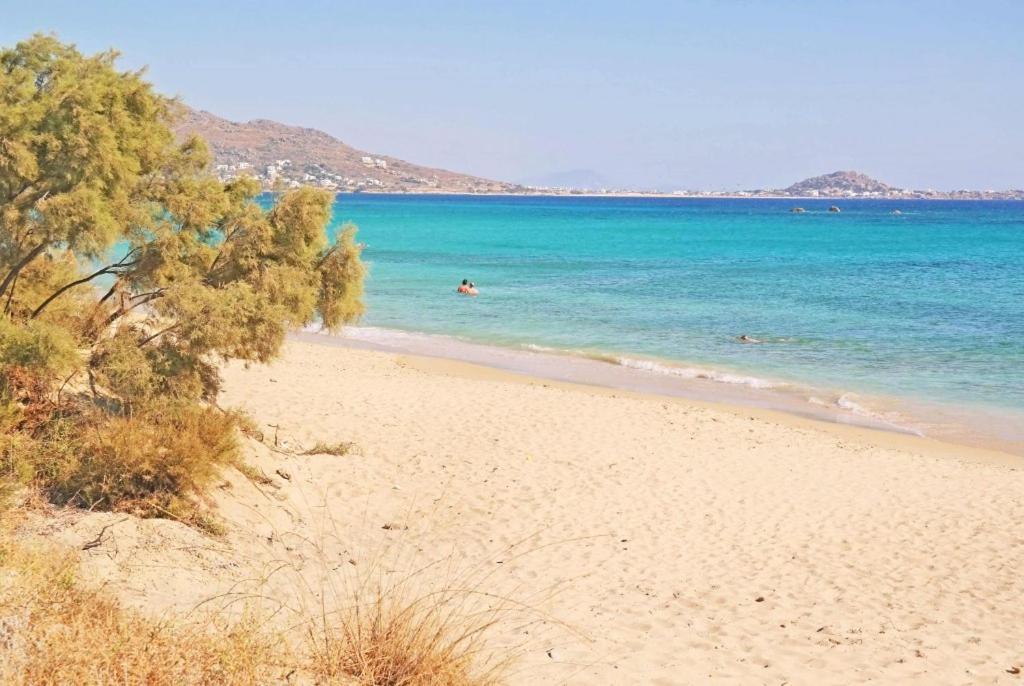 Evdokia Plaka (Naxos)