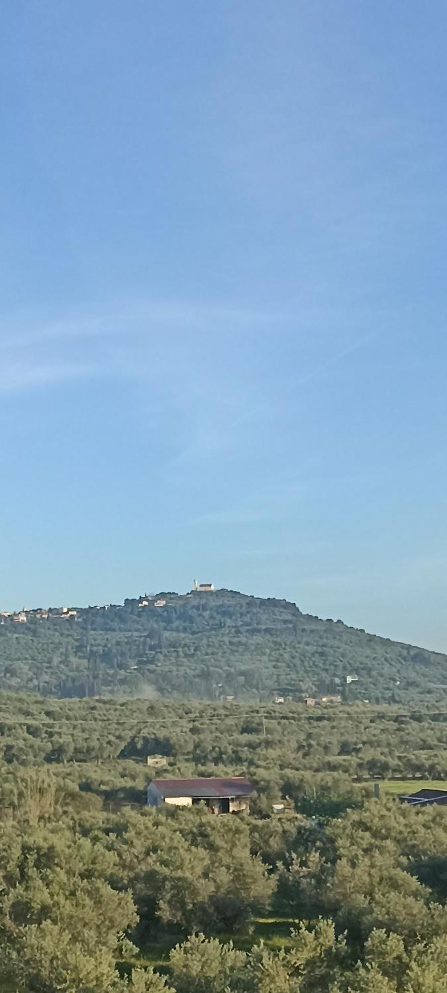 Hector's Alykanas (Zakynthos)