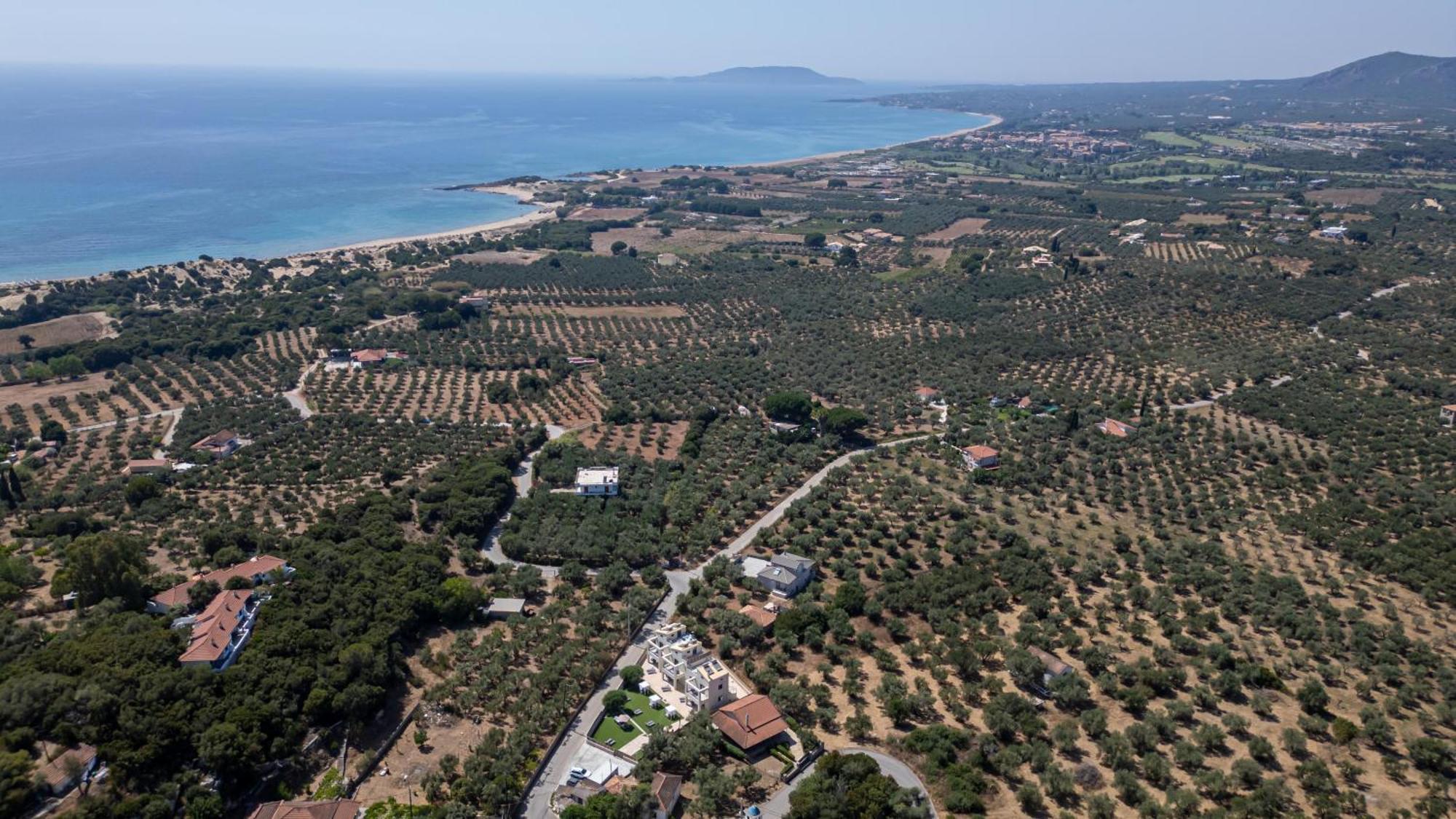 Prodano Petrochori (Peloponnese)
