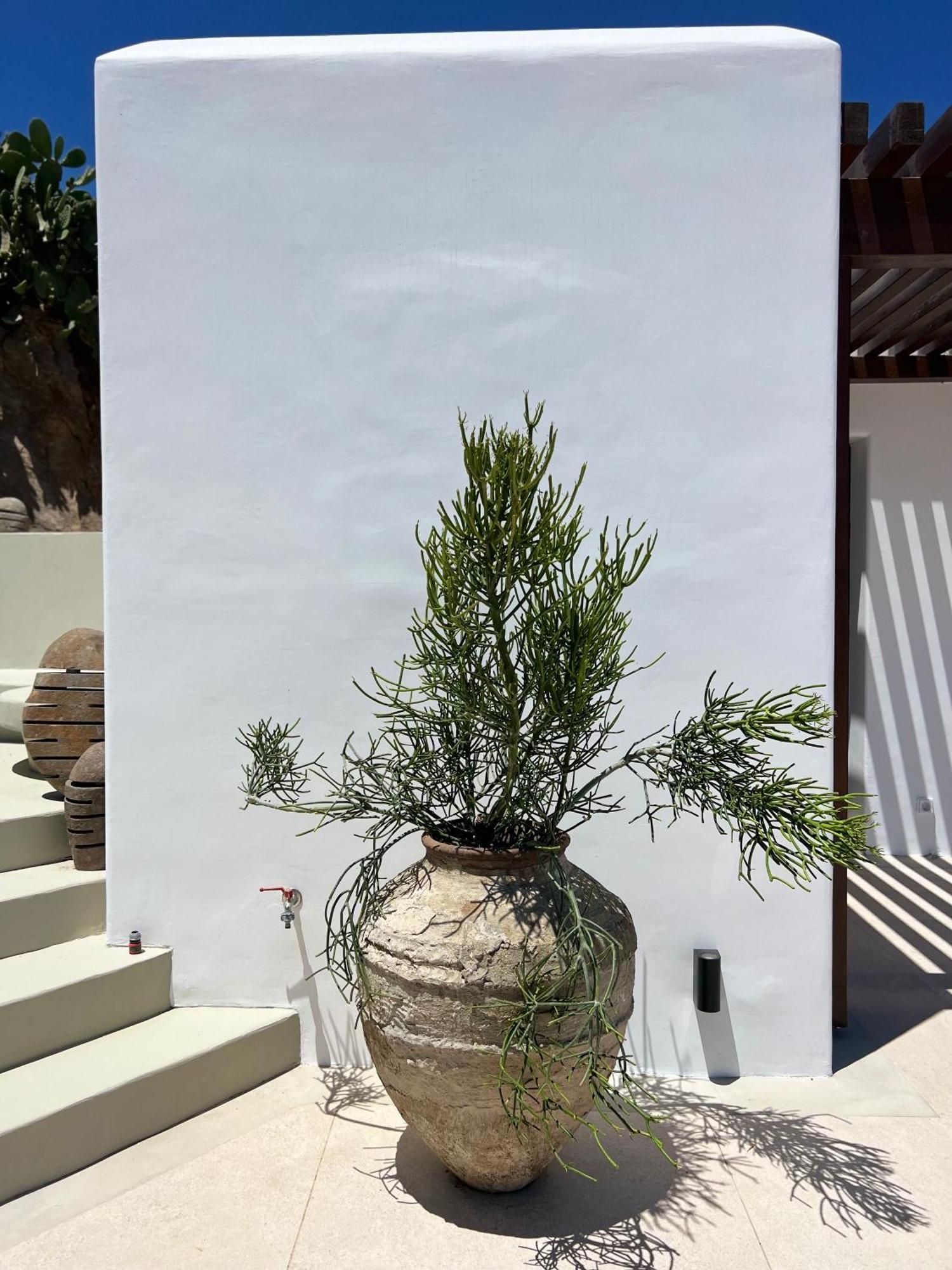 Vayu Mit Meer- Und Hafenblick Mykonos Town