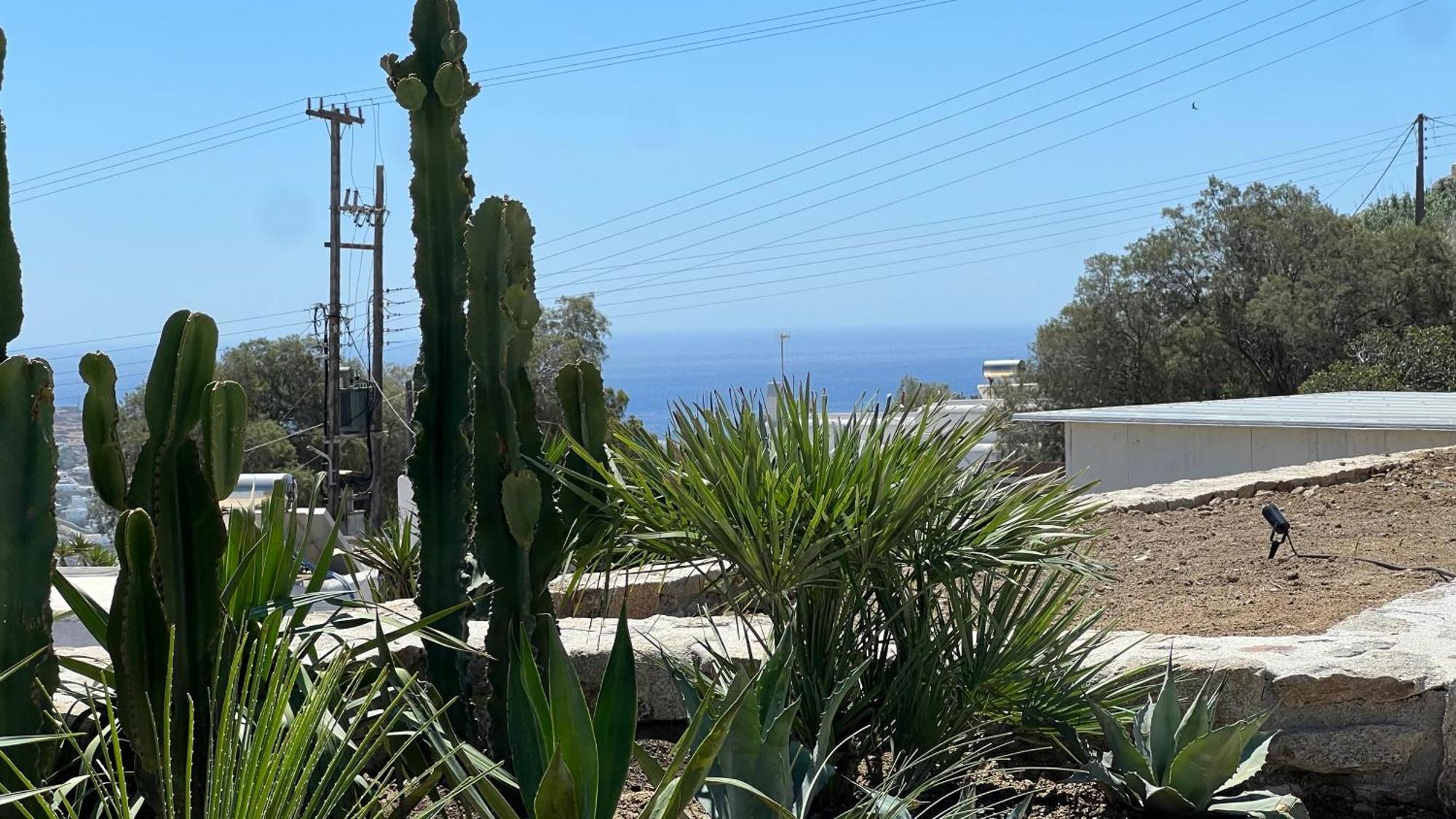 Resort Vayu Mit Meer- Und Hafenblick *