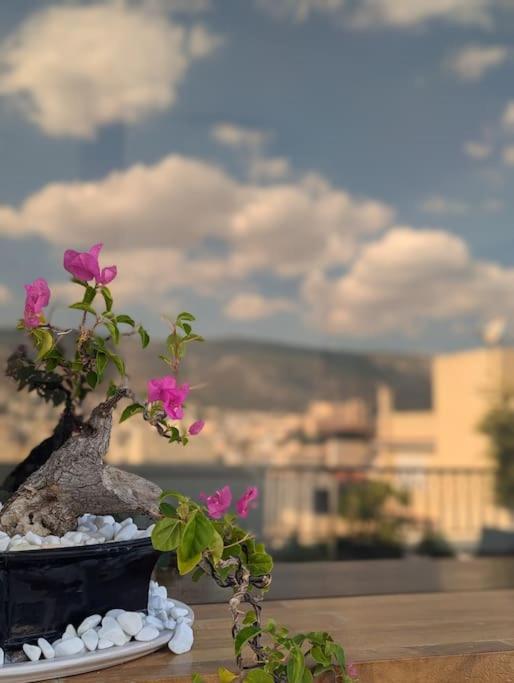Loft With Panoramic View Near The Center Of Athens
