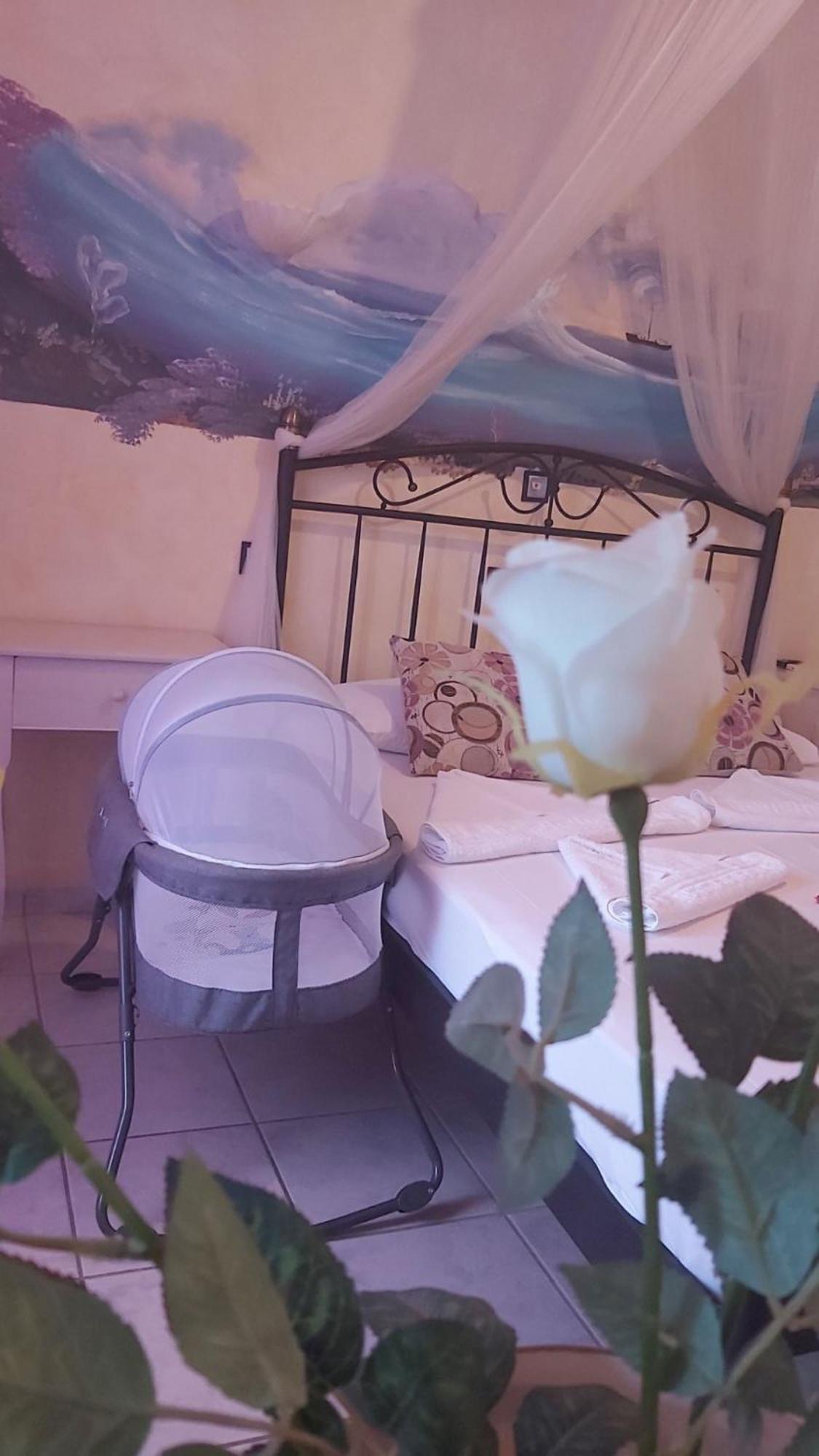 Aphrodite Boutique Hotel Aliki (Paros)
