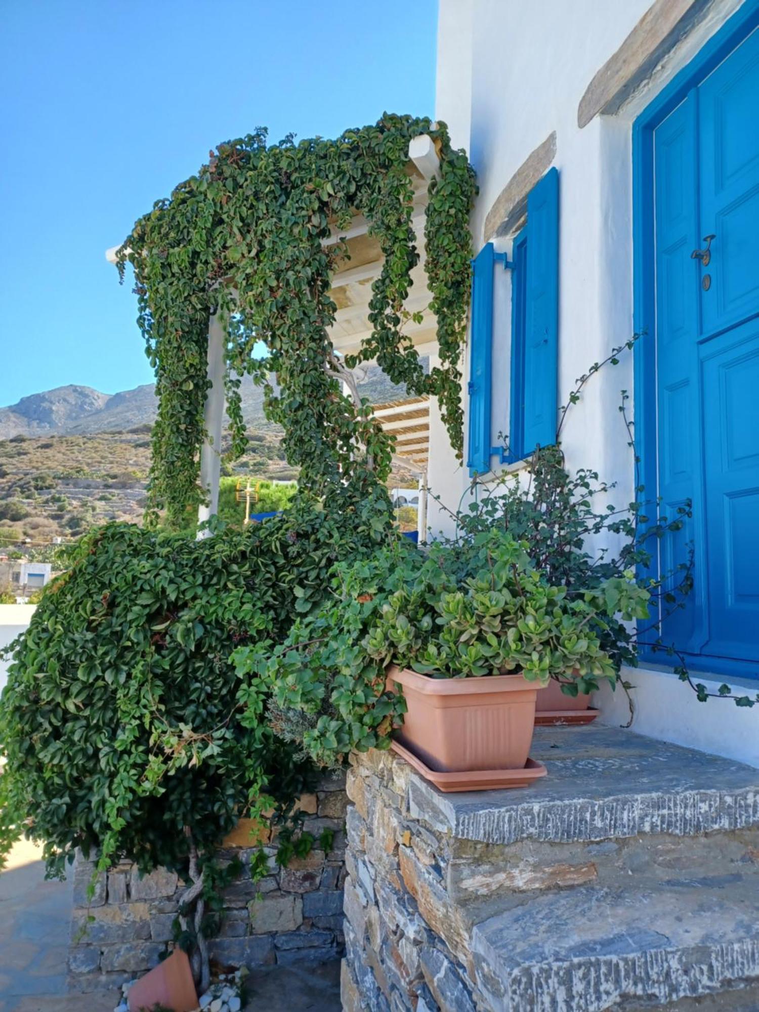 Aparthotel Vicky's Ormos Aigialis
