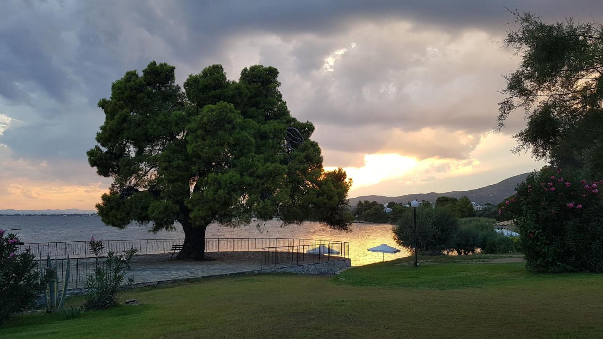 Hotel O Paradise And Magoula (Evia)