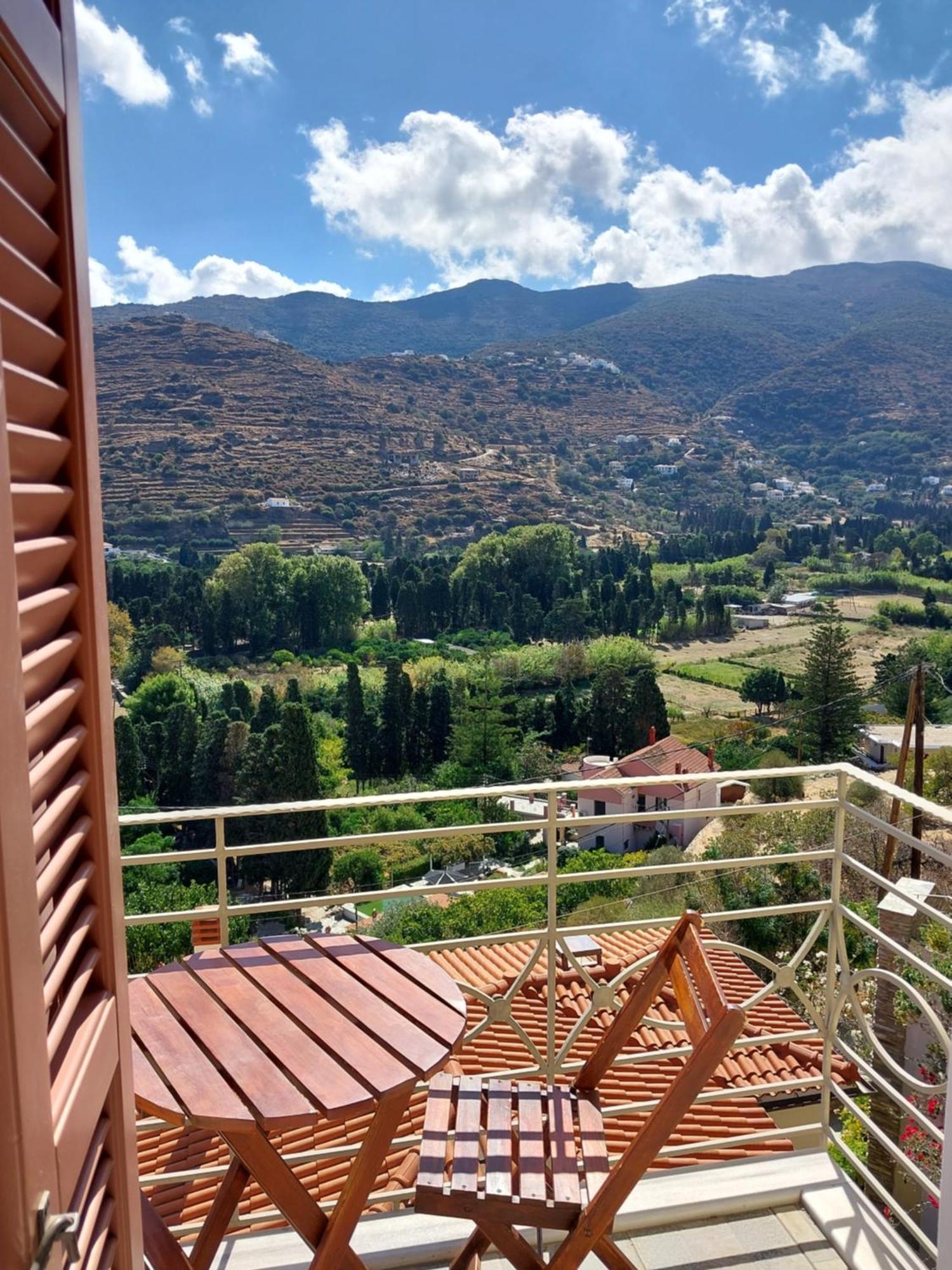 Apartment Rastoni Andros Town
