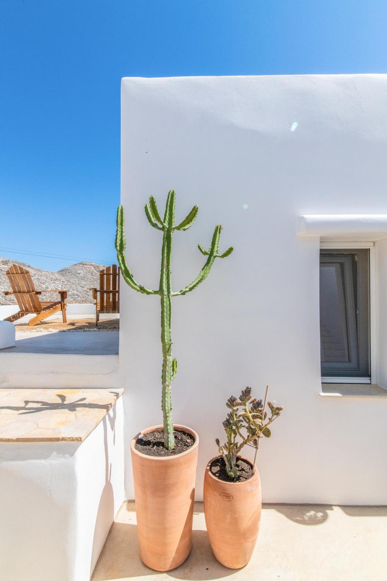 Art Beachfront Apartment